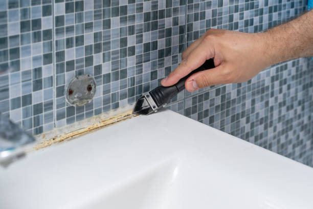 Best Residential Mold Remediation in Winchester, MO